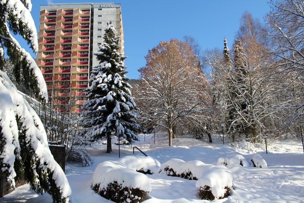 Familien Apartmenthotel Panoramic Bad Lauterberg Εξωτερικό φωτογραφία
